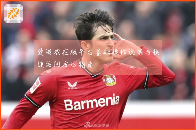 爱游戏在线平台基础操作说明与快捷访问方法指南