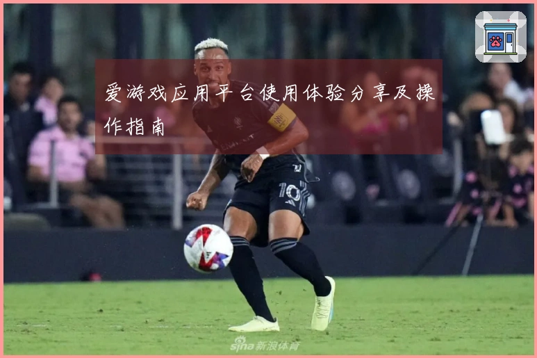 爱游戏应用平台使用体验分享及操作指南