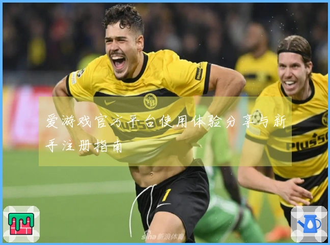 爱游戏官方平台使用体验分享与新手注册指南